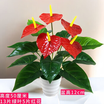 Simulated anthurium fake flower indoor flower pot decoration living room decoration green plant plastic flower bonsai office large pot simulated flower single bunch of 18 anthurium + white pot
