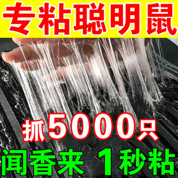 Sticky mouse board super strong sticky board super strong type enlarged and thickened indoor rodent nemesis household mouse nest artifact special offer plus size pack 10 pieces