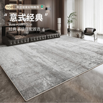 Budis large carpet, living room loop velvet sofa, home italian light luxury, high-end feel, thickened, washable, wipeable, waterproof, gray anti-fouling, condensed loop velvet - picture see 200*300cm, versatile recommendation