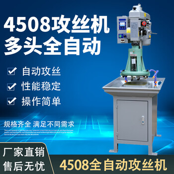 Wen yijia fully automatic tapping machine multi-head multi-axis desktop servo drilling and tapping machine small electric double-head gear one 4508 vertical stand-alone machine