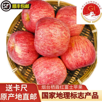 Taste of october sf express 2025 national landmark authentic yantai qixia red fuji apple fresh fruit striped fruit first and second grade strips 90 net 10 jin 14-16 sf
