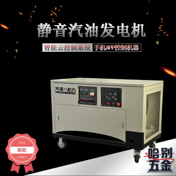 Daze power silent box type 30kw gasoline generator cloud control ten years fully automatic ats three-phase 380v