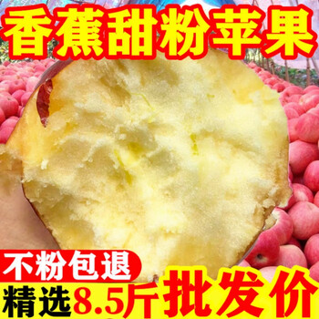 Authentic noodle apple, fresh seasonal fruit, old tree qin guan hongxing, old baby noodle, scraped mud banana apple, net weight 8.5 catties, medium fruit