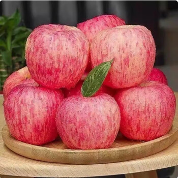 Shaanxi yan'an luochuan red fuji 10 catties packed apples, fresh fruits, crisp and sweet seasonal fruits, seasonal fresh fruits, 5 catties in box, medium fruit