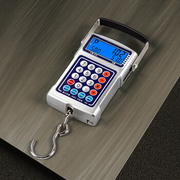 Vinoa price-calculating portable electronic scale 50kg portable high-precision commercial spring scale for shopping and weighing fish, silver, can weigh 100 kilograms