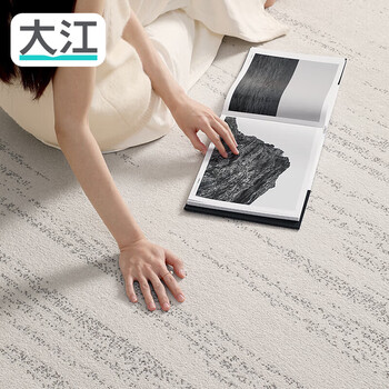 Dajiang minimalist style living room carpet sofa carpet no-wash easy care skin-friendly waterproof home large carpet starlight gem 160x240cm