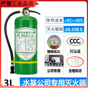 Water-based fire extinguisher for shop use, household vehicle firefighting 3l6l3 liter foam cart 4kg 3c certified 3l water-based fire extinguisher for extinguishing oil and electric fires 24-year national standard
