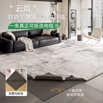 Zhuyi double-layer removable and washable carpet for the living room, light luxury, no glue, washable chenille, thickening, advanced surface change, disassembly, machine washable sofa, removable and washable - yunlan 200cm*300cm (carpet surface + 10mm buffer bottom)