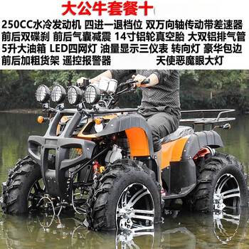 Saipodi beach four-wheel off-road four-wheel drive drive shaft gasoline electric mountain agricultural off-road vehicle motorcycle atv scenic area rental big bull package ten