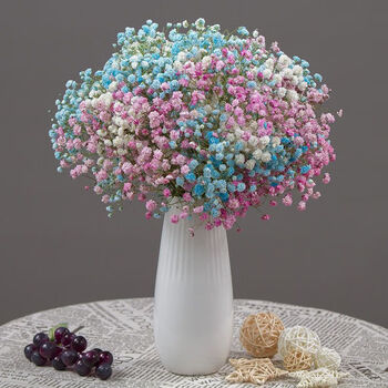 Vinoa yunnan gypsophila dried flower bouquet real flowers large bouquet wholesale straight hair forget-me-not living room ornaments decorative flower arrangement white blue pink gypsophila bouquet gypsophila bouquet