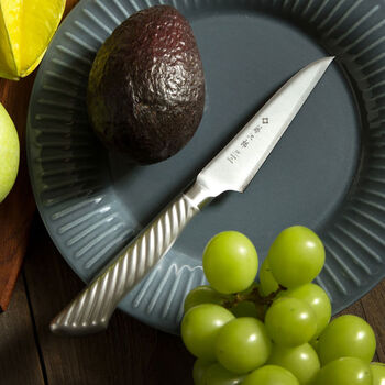 Vg10 fruit knife household high-quality all-steel knife steak knife paring knife f8839cm f844 blade length 9cm