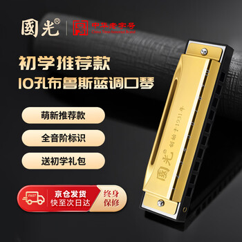 Guoguang 10-hole blues ten-hole blues harmonica in c key, resin case, gold