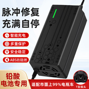 Electric vehicle battery charger is suitable for amayadi xinri tai bell pocket knife three-wheel 48v12ah60v20ah battery lead-acid universal t-type 48v12ah universal t-type plug