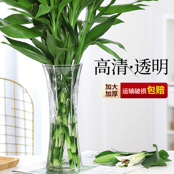 Chengai transparent glass vase, simple and noble, bamboo lily, hydroponic pothos plant, rich vase, living room flower arrangement, 30cm higher, hexagonal (bamboo leaf pattern), 30cm high