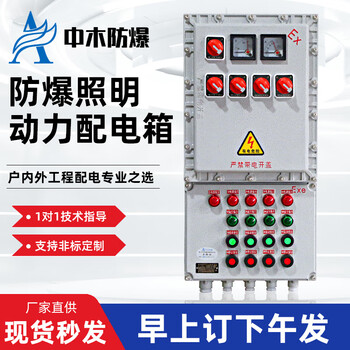 Bxm explosion-proof distribution box open ten circuits + main on_off