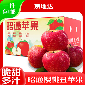 Jingdida yunnan zhaotong ugly apple net weight 5 jin single fruit 75mm + fresh crisp apple fruit direct shipping from the source