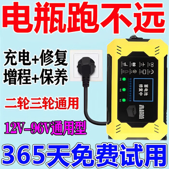 Battery repairer battery repair artifact genuine second and third wheel electric vehicle pulse repair battery automatic power off 2025 upgrade to supreme model