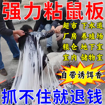 Rat stickers super strong sticky mouse board. the rats in the nest are dipped in the rat board medicine. super powerful rodent repellent and mouse catching artifact. 2 powerful sticky mice.