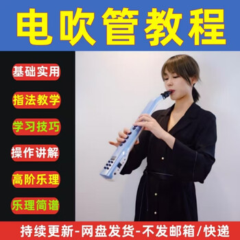 Musical instrument electric blowpipe tutorial course practical learning materials video beginners zero basic u disk / hard drive delivery