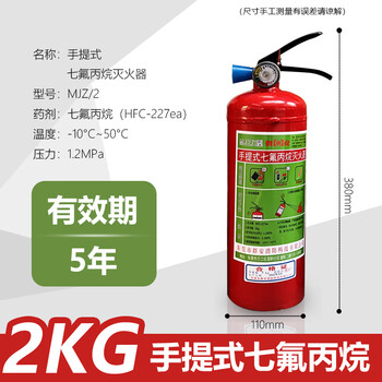 Heptafluoropropane fire extinguisher 2/4kg portable cabinet-type hanging constant temperature control automatic gas 6kg 8kg heptafluoropropane fire extinguisher portable 2kg heptafluoropropane