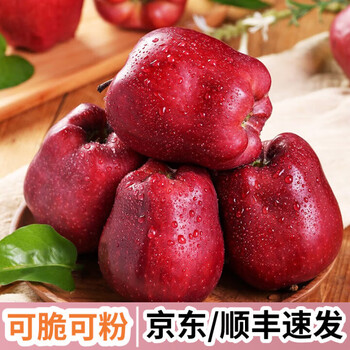 Liduoguo gansu tianshui huaniu apple 2025 fresh red snake fruit noodle fruit for elderly and children need to add powder net weight 8.5 jin single fruit 160g+