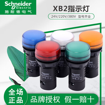 Schneider xb2bvb xb2bvm xb2bvq 1lc 3lc 4lc 5lc 6lc indicator led red xb2bvb4lc ac/dc24v red