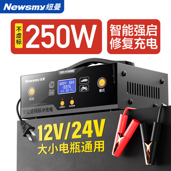 Newman (newsmy) car battery 220v charger fully automatic repair intelligent digital display 12v24v universal motorcycle truck pulse repair lead-acid battery start-stop battery charging