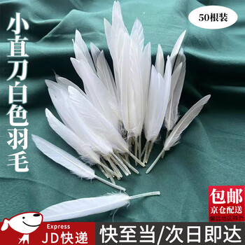 Kunsui children's handmade color knife straight feather diy color feather material kindergarten handmade feather festival decoration knife white feather 50 pieces