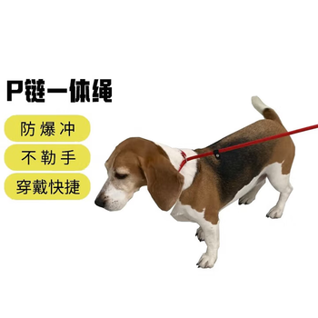 Chongxingji dog integrated p chain, small and medium-sized dogs, rope length 1.3 meters, thickness 1cm, traction rope explosion-proof dog chain, red