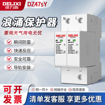 Delixi surge protector dz47sy household lightning protector 2p lightning protection module 4p lightning protection 220v three-phase secondary 2p 65ka 385v