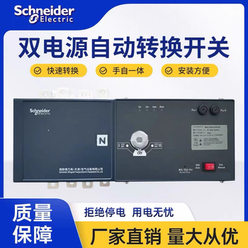 Schneider wangao watsga dual power automatic conversion switching isolation switch 100a4p/63/400/630 16a 4p