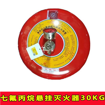 Zhe'an portable 4kg heptafluoropropane fire extinguisher 6kg 8kg 10kg hanging agent gas fire extinguishing device hanging 30kg heptafluoropropane fire extinguisher