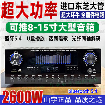 Shanyu's new high-power 15-inch home ktv power amplifier, bluetooth u disk microphone, subwoofer audio stage amplifier av9000 large power amplifier can push 15 inches