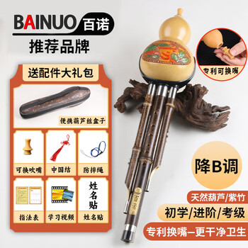 Benro can change the mouth zizhu anti-fall hulusi b flat adult self-taught musical instrument primary school students beginner b flat professional performance level