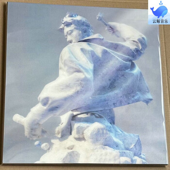 Wang yitai love me later love me later colorful plastic 2lp vinyl record see description