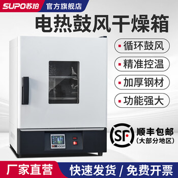 Super electric constant temperature blast drying oven headlight laboratory high temperature small industrial dryer heating oven 16 liters stainless steel single blast