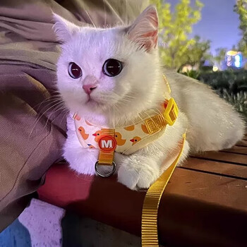 Amor cat traction rope little yellow duck cartoon chest and back anti-escape adjustable ragdoll gradient outing special cat walking rope little yellow duck chest and back rope rope length 1.5 meters s-small