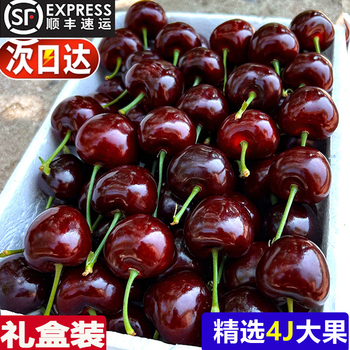 Dakou qiba spot chilean cherries big cherry fresh store fresh fruit gift box gift imported 1400g (net weight) exquisite gift box with box 3 catties large fruit j single fruit 26-28mm