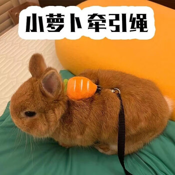 Dwarf cat carrot traction rope ultra-small anti-shedding rabbit i-shaped special adjustment to go out puppet teddy to break free carrot type xs (0-3 pounds)