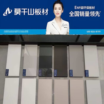 Pet cabinet door panel whole house wardrobe door leaf skin-feel high-gloss paint kitchen cabinet fan enf grade moganshan european pine board pet blue light