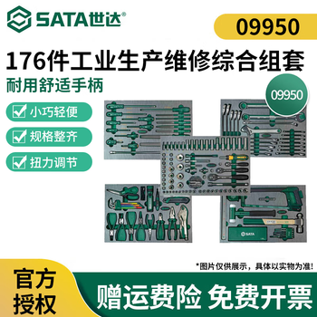 Sata tools new energy vehicle repair set electrician insulation auto repair machine repair set 09919-09950 176-piece industrial production maintenance comprehensive set 09950