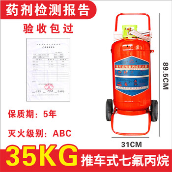 Oein hanging heptafluoropropane fire extinguisher 4kg 6kg portable clean gas cabinet fire extinguishing device 2kg 5kg trolley heptafluoropropane 35kg