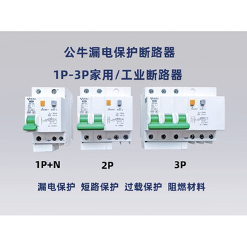 Circuit breaker air switch with leakage protector household 220v63a main gate household 32a lbe5 new leakage protection 2p (send rail) 80a