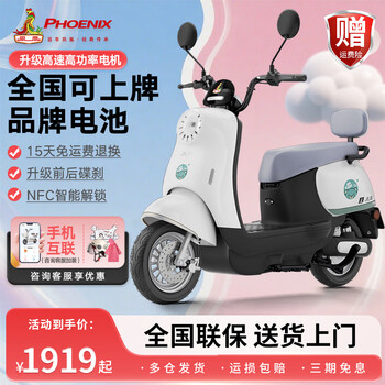 Phoenix (phoenix) new electric motorcycle lead-acid lithium battery adult long-range smart two-wheeled electric motorcycle commuting takeaway high-speed electric car pearl white nationwide warranty lifetime after-sales 72v24a energy-carrying lead-acid - battery life about 90 kilometers
