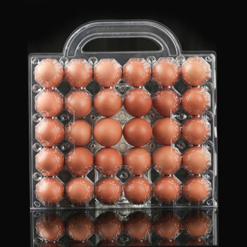 Sailotou thickened egg tray plastic egg transparent shockproof packaging box duck egg tray shatterproof 30 pieces with portable thickened transparent version 250 pieces