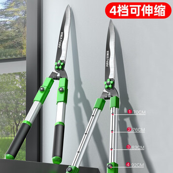 Arrizo gardening scissors, special scissors for pruning branches, pruning flowers, pruning branches, flower shears, greening scissors, pruning shears + pruning shears, straight-blade hedge shears (sk5 head)