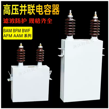 10kv high voltage parallel capacitor bambfmbwf113-2001w reactive power compensation power capacitor bam11-450-3w