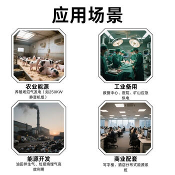 Jilitian weichai gas generator set natural gas biogas biomass methane liquefied gas generator set original natural gas 500kw