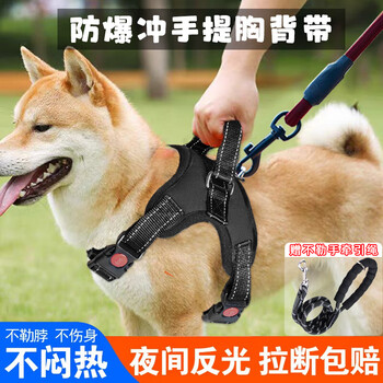Aladdin beast dog leash leash dog harness vest style dog leash for walking large dogs labrador shepherd golden retriever puppy explosion-proof harness + dog leash black m size recommended 18-40 pounds