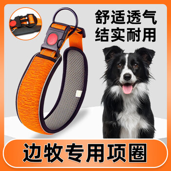 Border collie special collar leash dog leash pet large medium small dog chain neck collar collar reflective strip/light breathable/neck-stretching xl code (recommended 35-60kg)